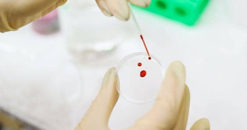 Pexels/Polina Tankilevitch