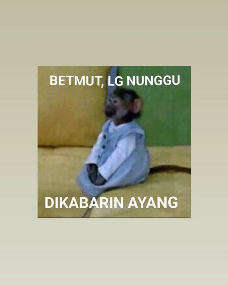 Twitter.com/jeykey_seagull