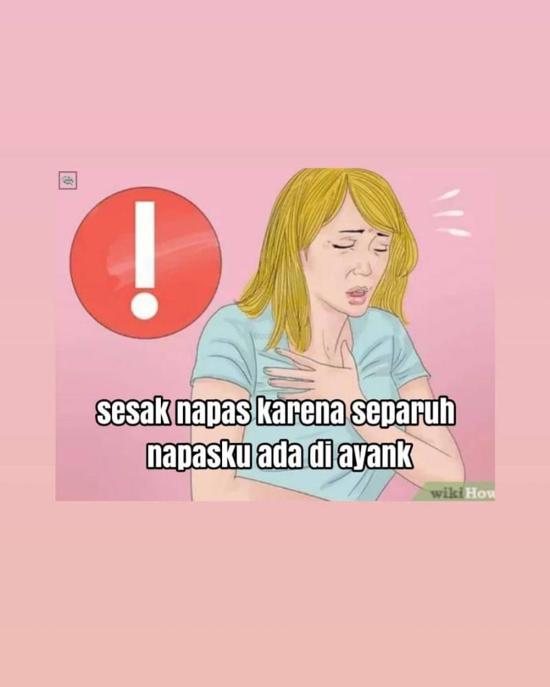 Twitter.com/jeykey_seagull