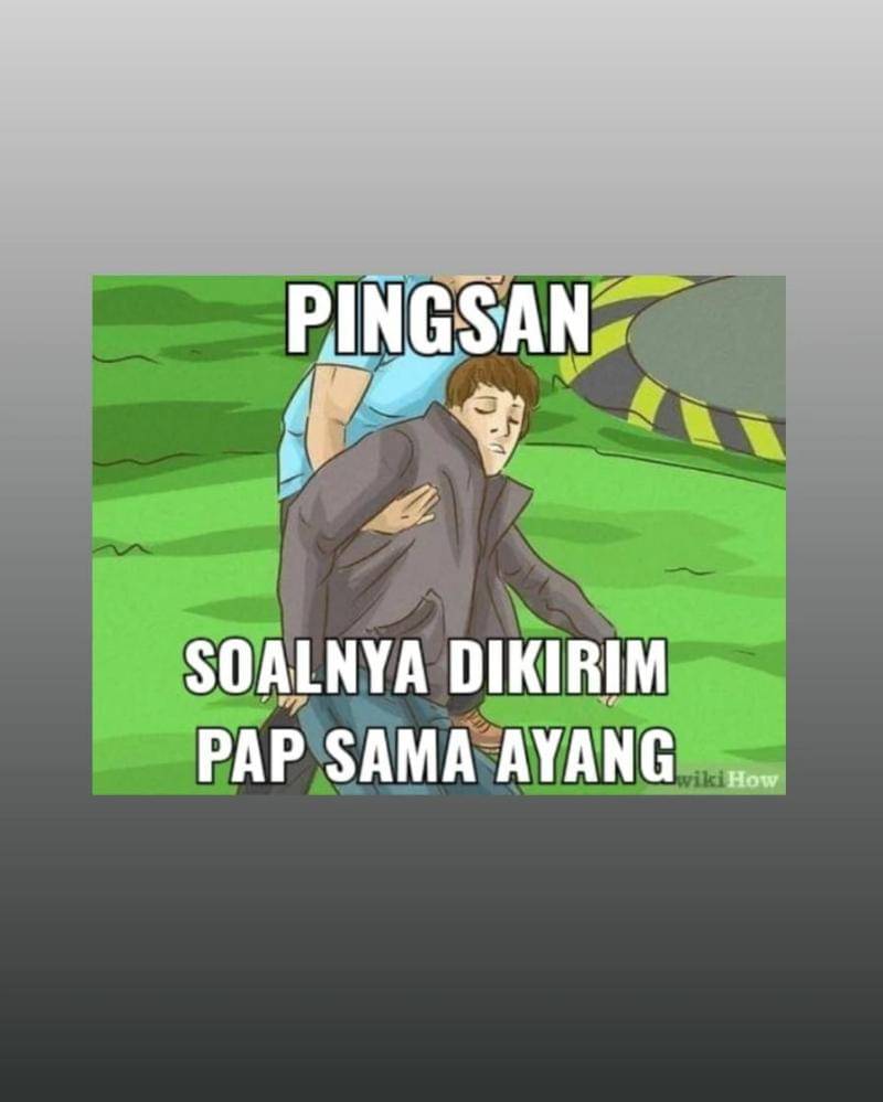 Twitter.com/jeykey_seagull