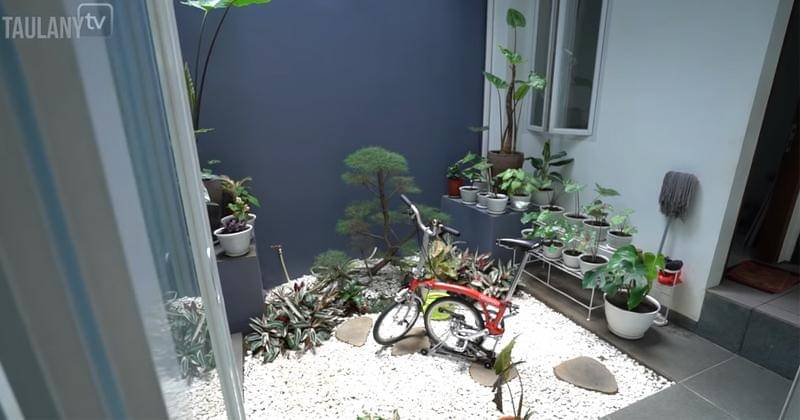 Youtube.com/TAULANY TV