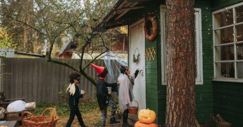 Pexels/Yaroslav Shuraev 