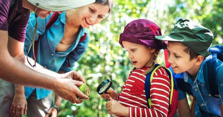 Freepik/Rawpixel-com