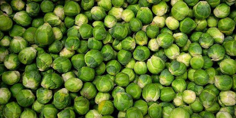 Pexels/PublicDomainPictures