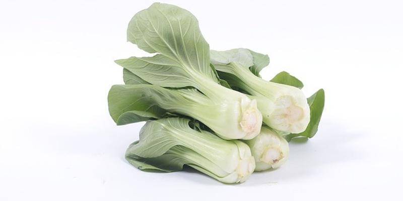 Pixabay/vkoreastore1