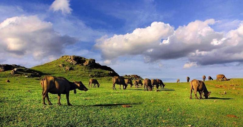 Instagram.com/bukitmerese