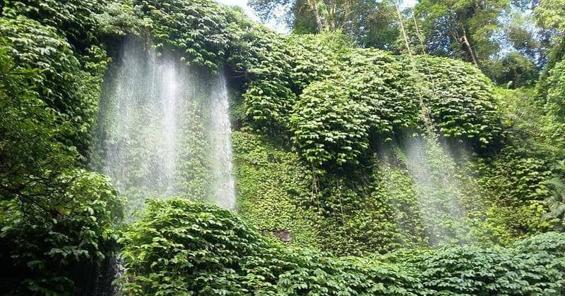 Instagram.com/benangkelambu