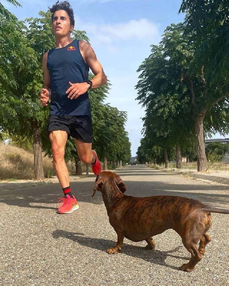 Instagram.com/marcmarquez93