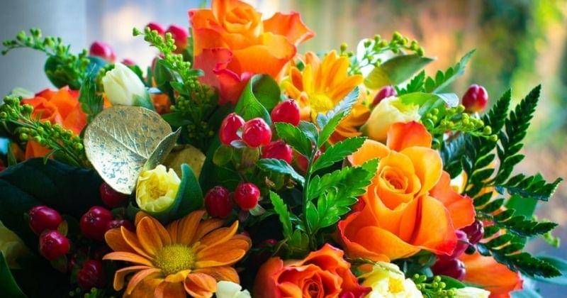 Unnsplash/Kalinka8899