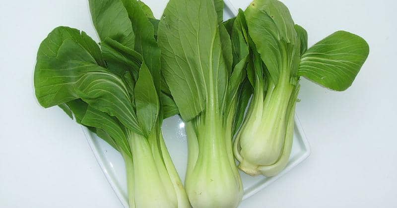 Karl-Heinz Wellmann/Wikipedia