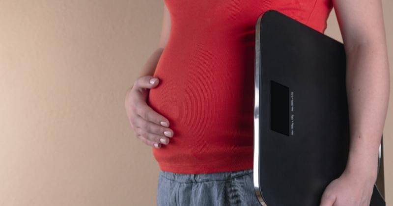 Unsplash.com/Volodymyr Hryshchenko