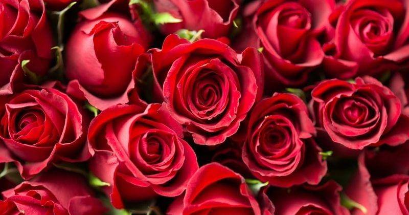 Pexels/Picjumbo-com-55570