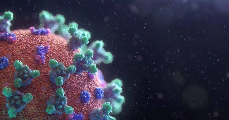 Unsplash/Fusion_medical_animation