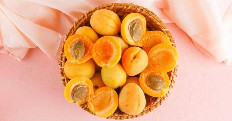 7 Manfaat Buah Aprikot untuk Ibu Hamil Muda