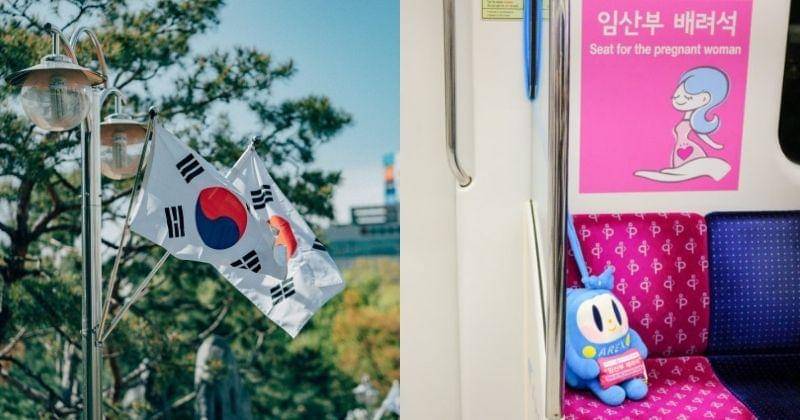 Freepik.com/Daniel Bernard & learntoloveanywhere.com