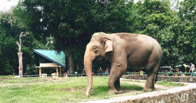 Popmama.com/Mutiara Oktaviana