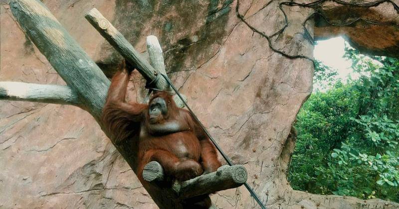 Popmama.com/Mutiara Oktaviana