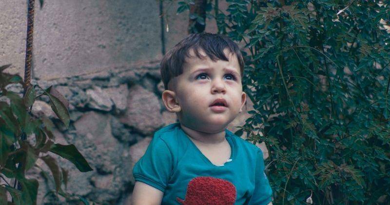 Pexels.com/samer daboul