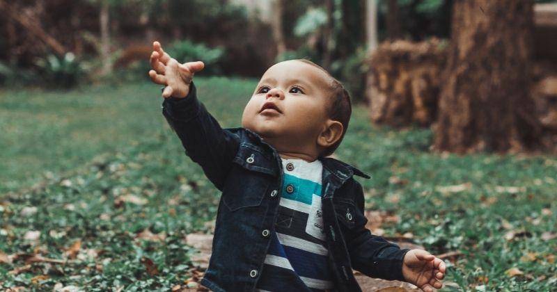 Pexels.com/Filipe Leme
