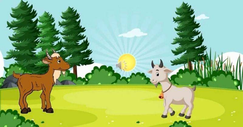 Youtube.com/Edutania Channel