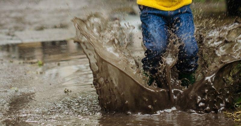 Pexels/victoria borodinova