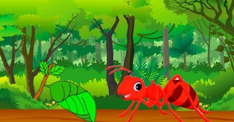 Youtube.com/Edutania Channel