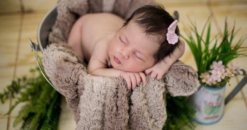 Pexels/Georgia Maciel