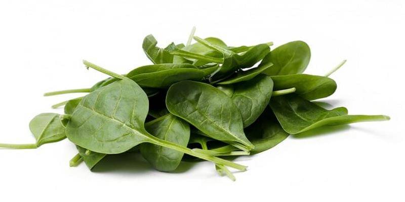 Freepik/Racool_studio