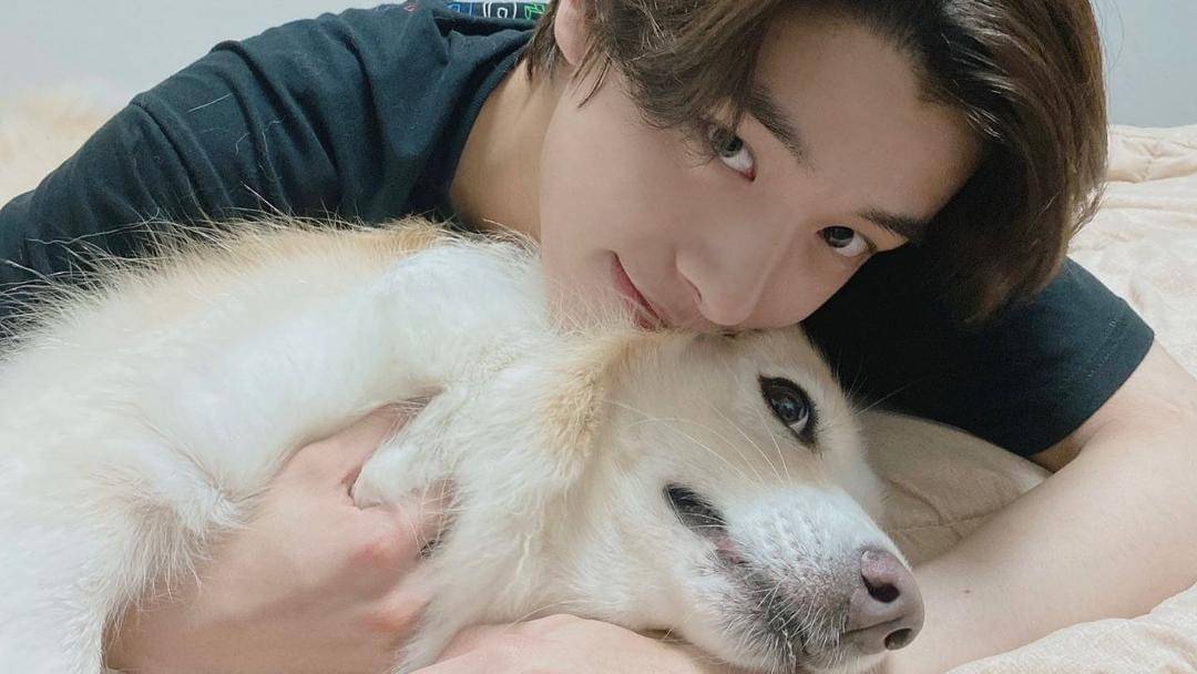 Twitter.com/bbyxjaeyun