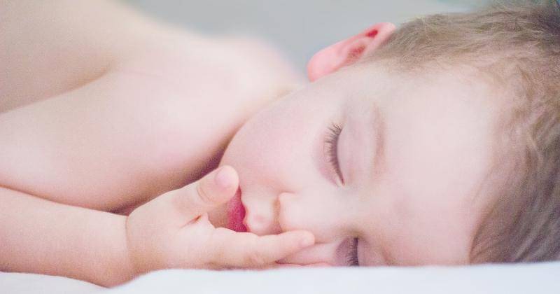 Pexels.com/Dominika Roseclay