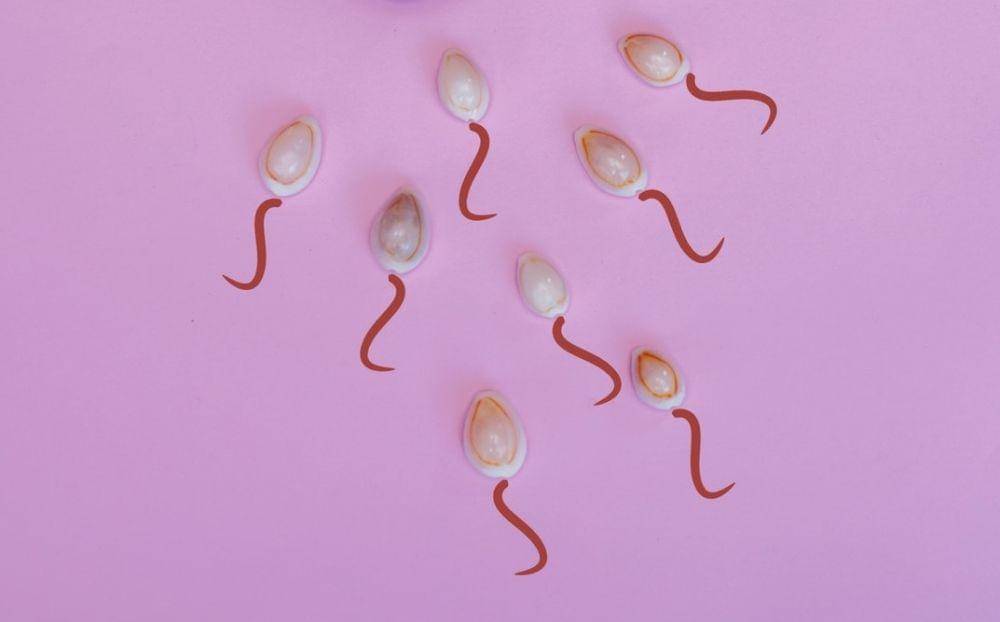 ilustrasi sperma (pexels.com/Dainis Graveris)