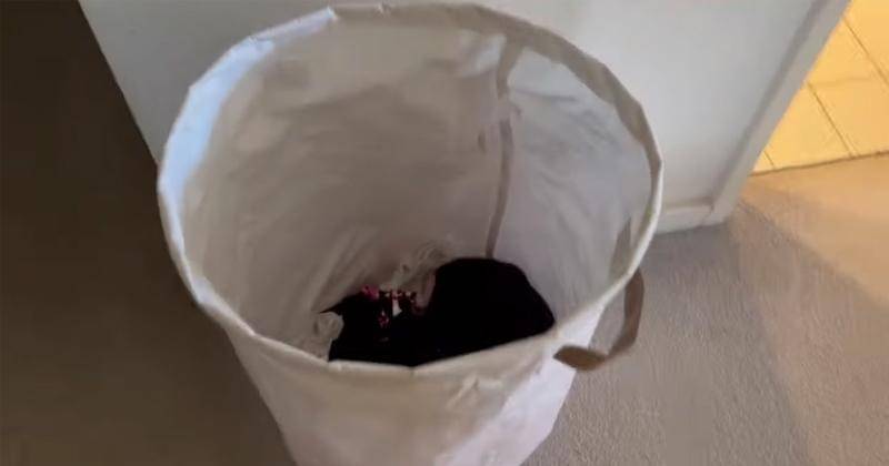 Youtube.com/Livy Renata