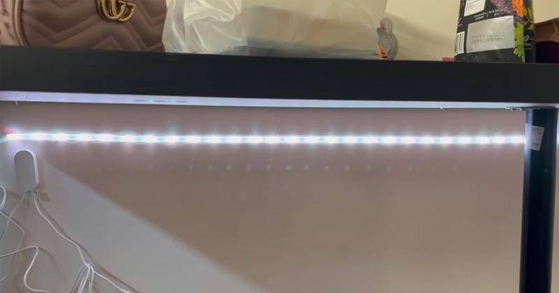 Youtube.com/Livy Renata