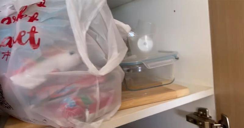 Youtube.com/Livy Renata