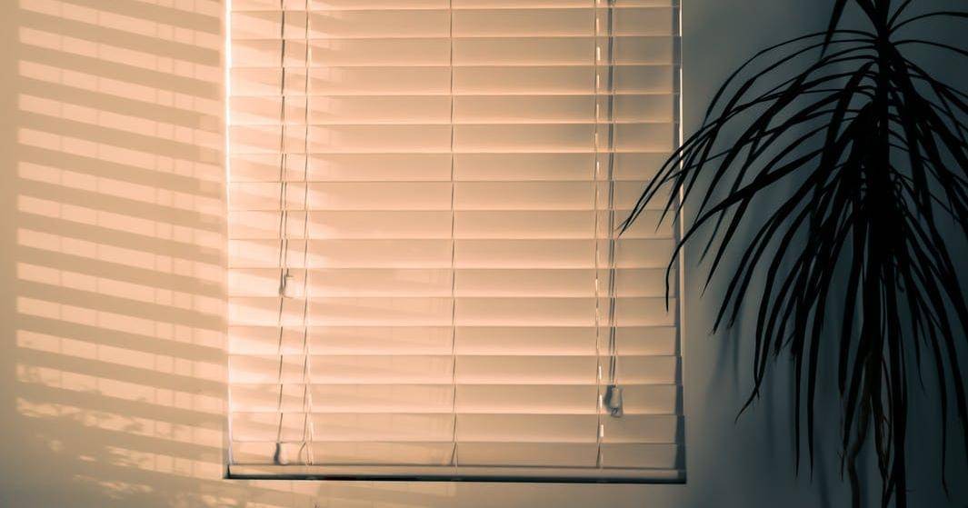 Pexels/Steve Johnson