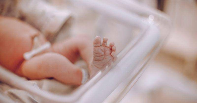 ilustrasi - Pexels/Vidal Balielo Jr.