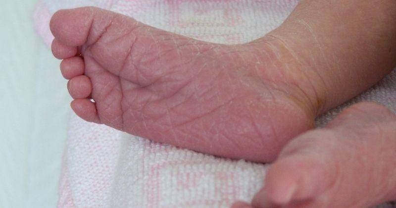 Pixabay.com/NadineDoerle