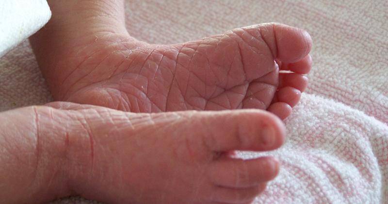 Pixabay.com/NadineDoerle