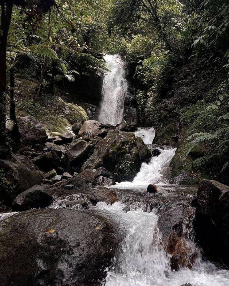 Instagram.com/bangcuts