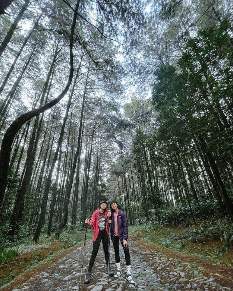 Instagram.com/iam_atre