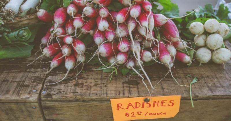 Unsplash/Mercedes Mehling