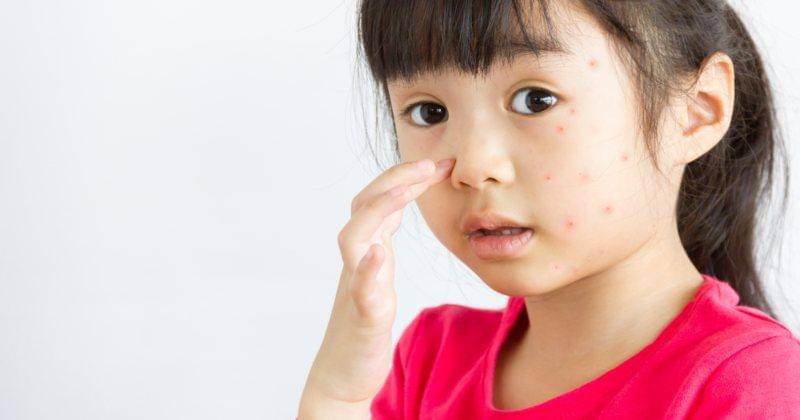 Shutterstock/GUNDAM_Ai