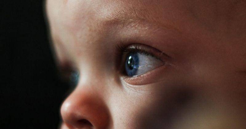 Unsplash.com/Max Leveridge