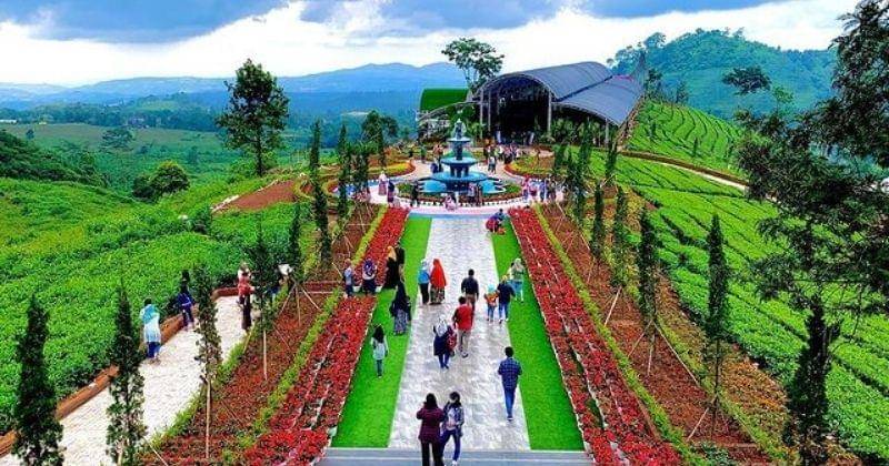 Instagram.com/florawisata_dcastello