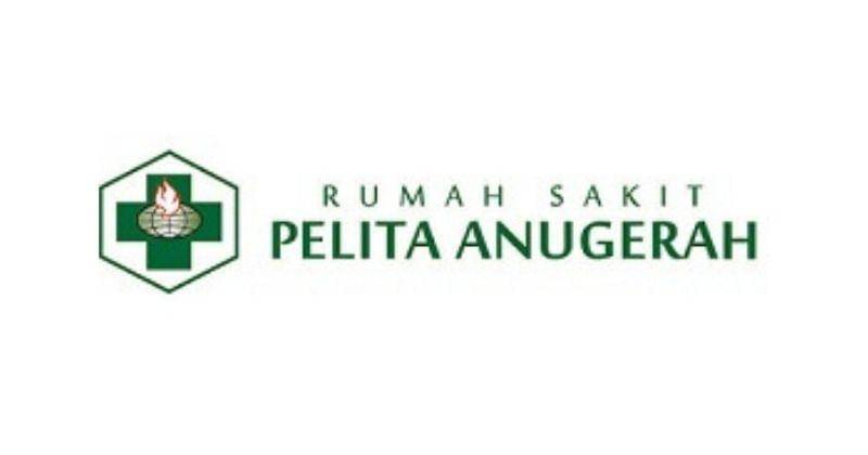 rspelita-anugerah.com