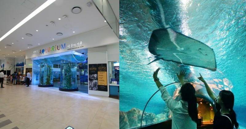 english.visitkorea.or.kr