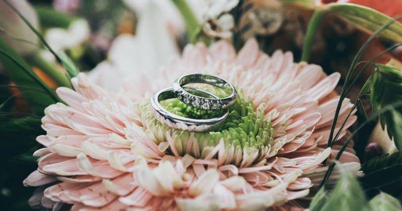 Unsplash.com/Nick Karvounis