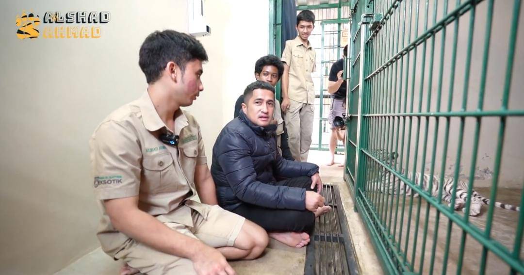 Youtube.com/Alshad Ahmad