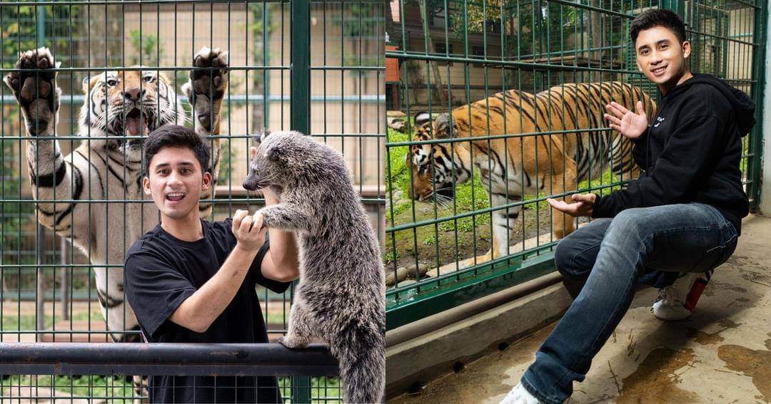 Instagram.com/alshadahmad