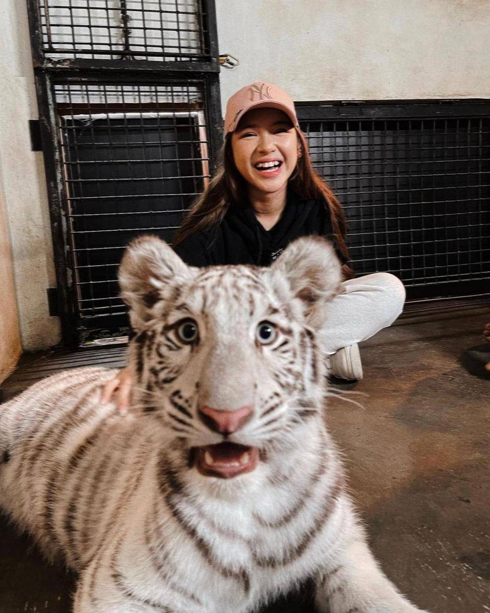 Instagram.com/tiaraandini